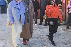 《一路繁花》向太67岁录节目？贺峻霖搀扶引热议