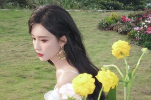 精选图片展示：高质量视觉内容集锦