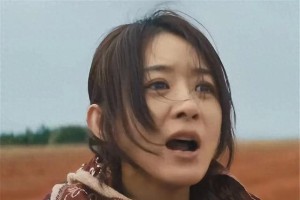《浴火之路》赵丽颖打拐复仇片国庆档逆袭