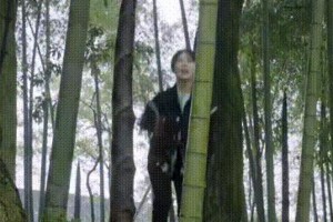 杨紫张艺兴《向往的生活》互动甜蜜引热议