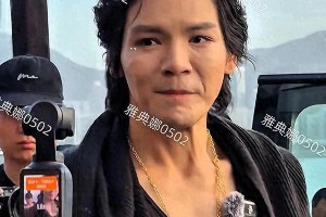 向佐形象转变：从争议艺人到亲民明星的成长之路