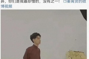 秦霄贤被控出轨事件：辛雨锡爆料引发舆论风波